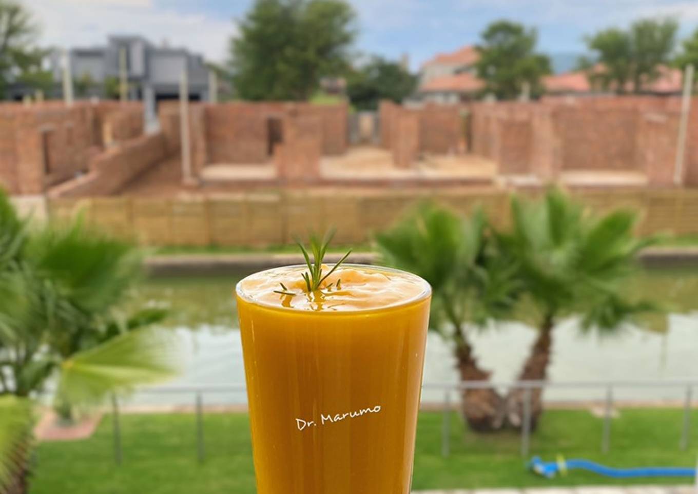 Mango Smoothie