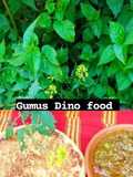 Salade hmiss