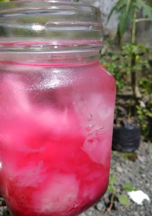 Foto resep Es Kopyor Nutrijel