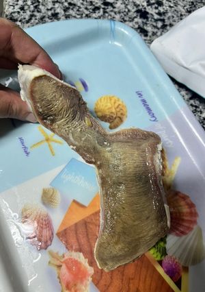 صورة لوصفة لسان العجل