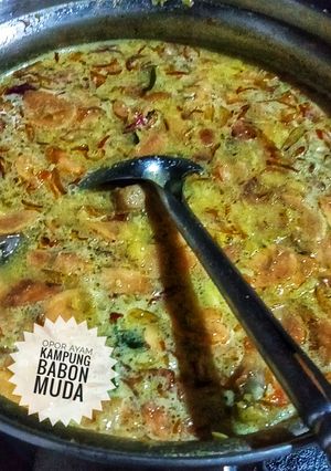 Foto resep 87. Opor Ayam Kampung Babon Muda