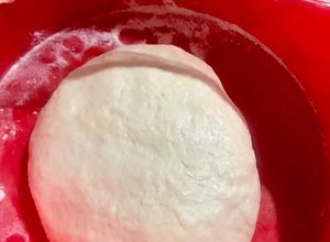 Una foto de Prefermentos: Pâte fermentée