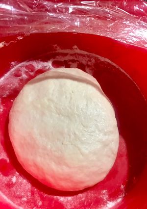 Una foto de Prefermentos: Pâte fermentée