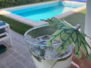Una foto de limonada con menta y hielo