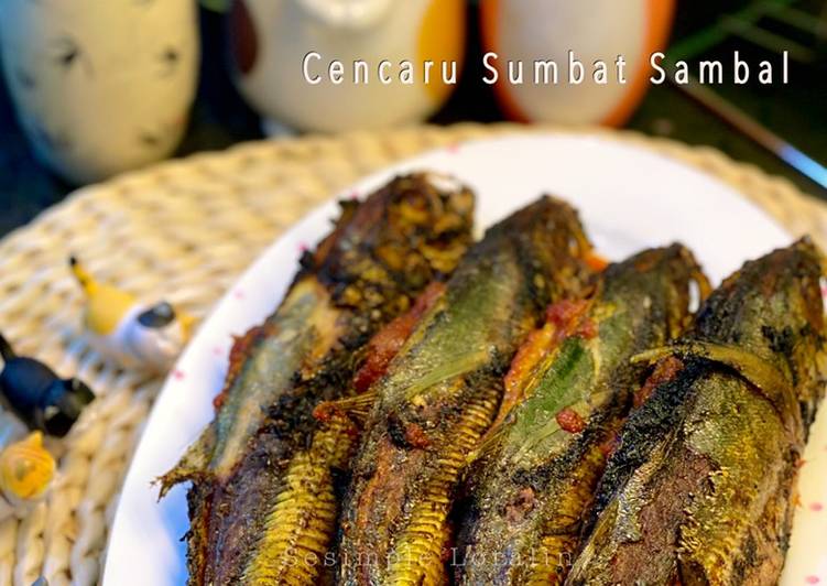 Cencaru Sumbat Sambal, Viral