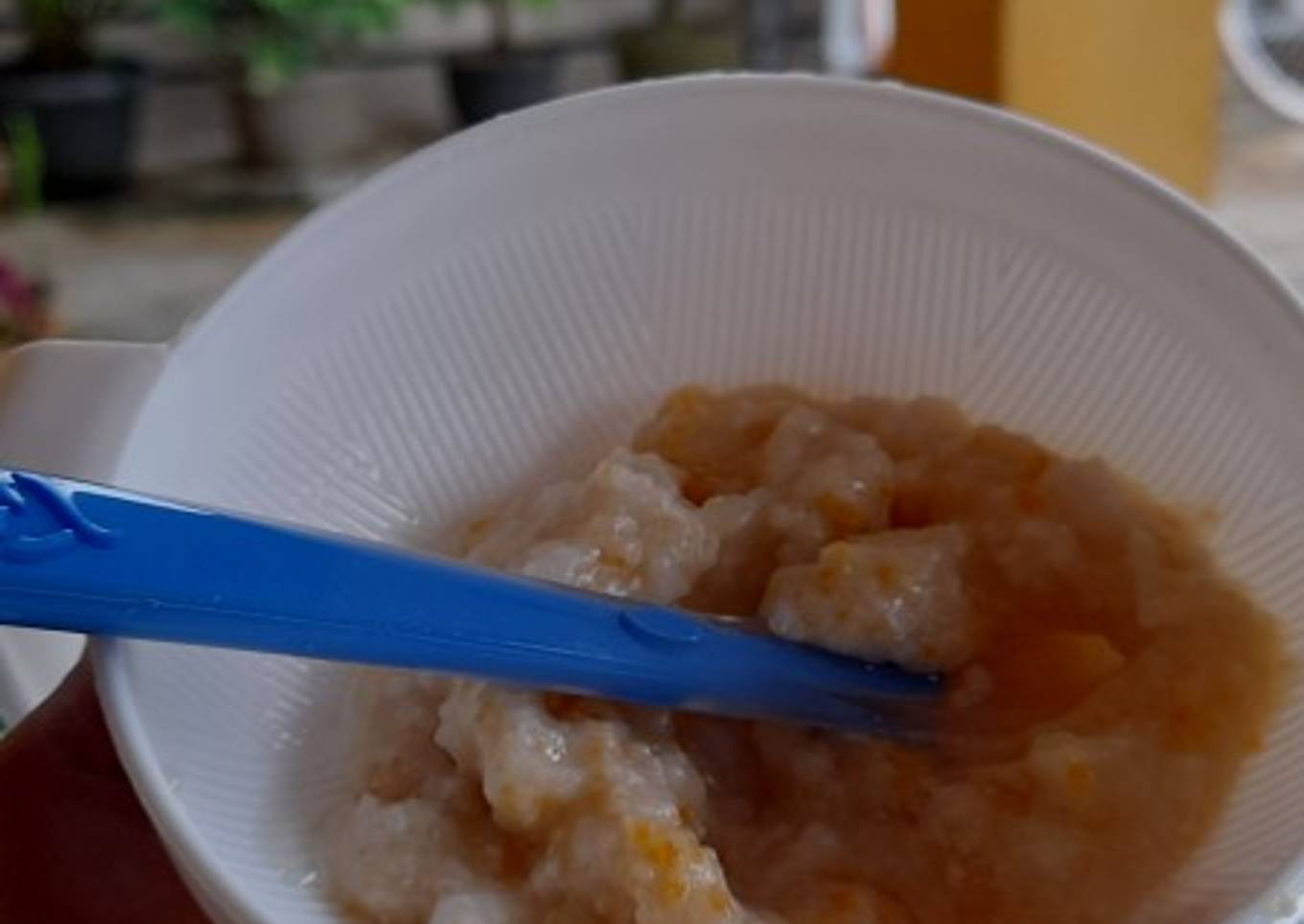 Mpasi hyuga bubur ayam wortel 6+