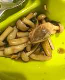 Cá Hồi sốt nấm xì dầu kiểu nhật 🐟