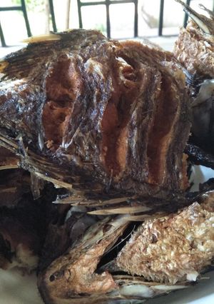 A picture of Fried fish.