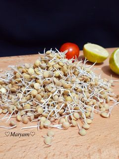 عکسی از دستور جوانه عدس