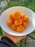 Nuget Bubble Crumb