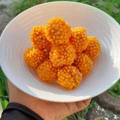A picture of Nuget Bubble Crumb.
