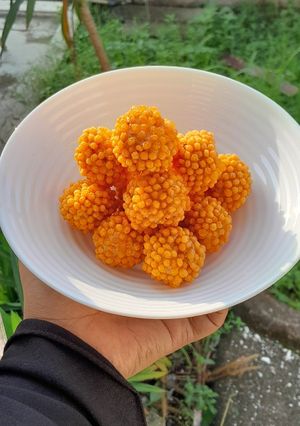 Foto resep Nuget Bubble Crumb