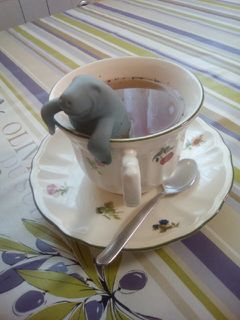 Una foto de Infusión de flor de cerezo y diente de león