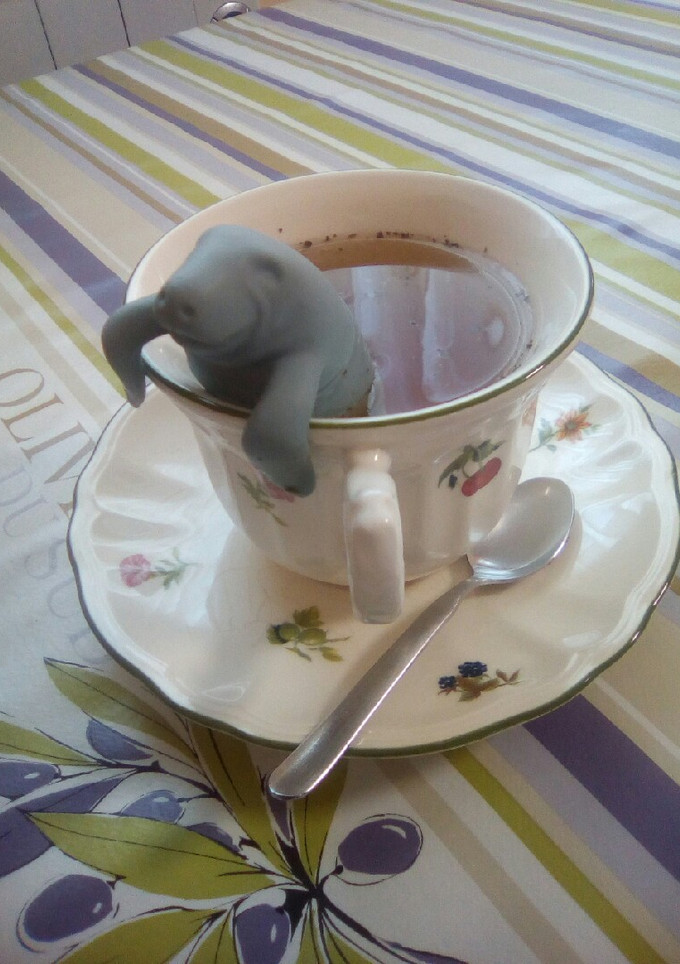 Una foto de Infusión de flor de cerezo y diente de león