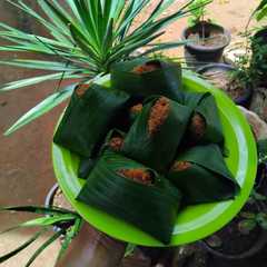 A picture of Nasi Unti.