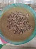 Puré de champiñones