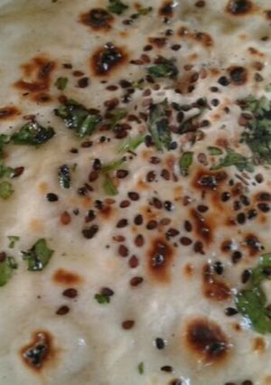 A picture of Whosayna’s Tava Naan.