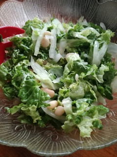 Una foto de Ensalada lechuga porotos cebolla
