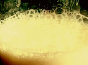 Foto principal de 'Buttermilk' o suero de leche