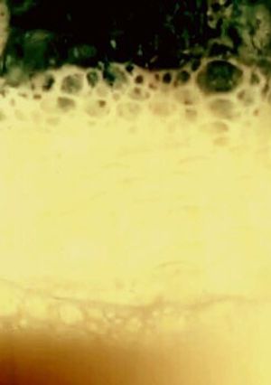 Una foto de 'Buttermilk' o suero de leche