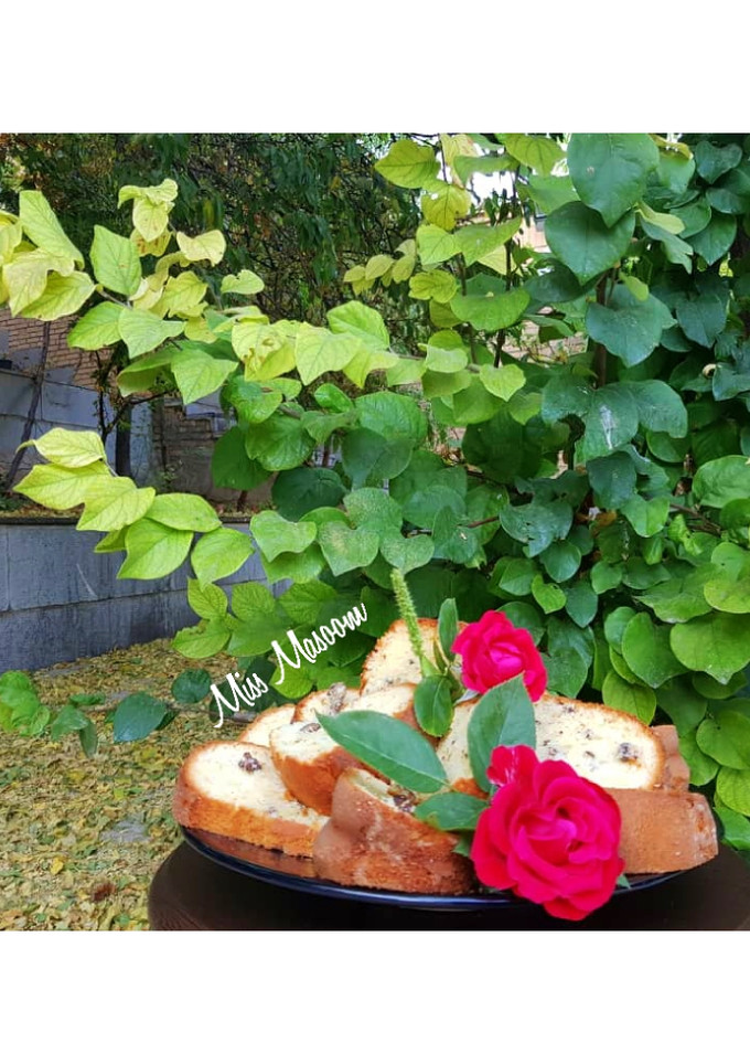 عکسی از دستور کیک گردویی