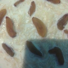 A picture of Mithi seviya.