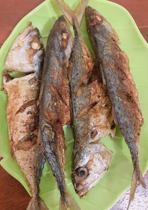 Foto resep Ikan Kembung Goreng
