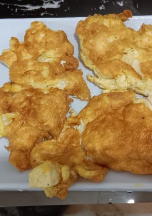 Foto resep Dadar Telur dan Tahu