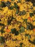 California Farm Lamb Biryani