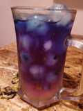 Sunset Butterfly pea flower