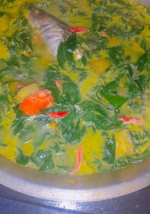 Foto resep Sayur santan ikan patin daun katuk