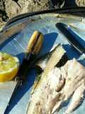 Palometa de mar a la parrilla (en la playa)