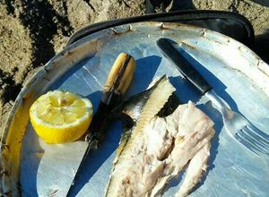 Una foto de Palometa de mar a la parrilla (en la playa)