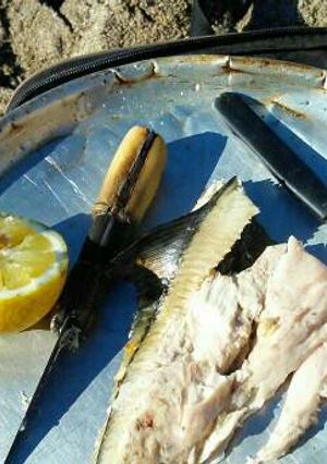 Una foto de Palometa de mar a la parrilla (en la playa)