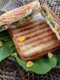 કોર્ન સ્પીનેચ કેપ્સિકમ સેન્ડવીચ (Corn Spinach Capsicum Sandwich Recipe In Gujarati)