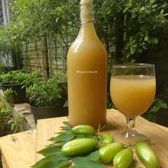 A picture of Sirup Belimbing wuluh.
