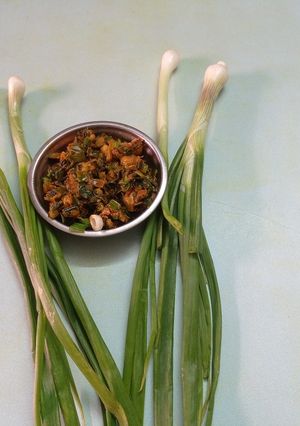લીલા કાંદા નું શાક (Green Onion Shak Recipe In Gujarati) રેસીપી મુખ્ય ફોટો