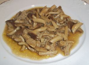 Foto principal de Bolets