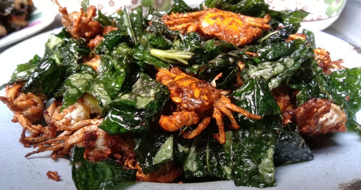 Lá xương sông là lá gì? Lá xương sông làm món gì ngon?