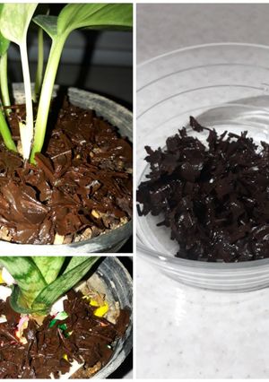 عکسی از دستور تفاله چای🍵