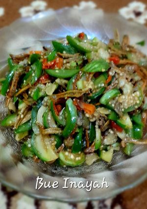 Foto resep Tumis terong teri