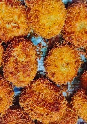 A picture of Vermicelli Potato Cutlet.