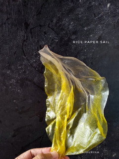 Foto resep Rice Paper Sail for Cake Decorating