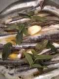 Alici in tortiera