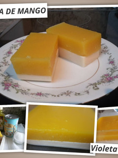 Una foto de Panacota de mango