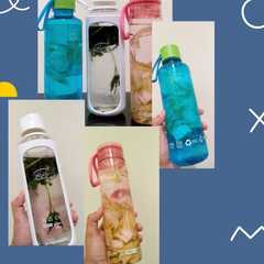 Day 9-infused water sayur রেসিপির প্রধান ছবি