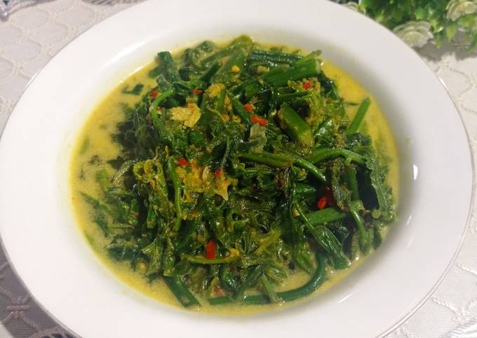 Resep Sayur Paku Pakis Masak Santan Oleh Tia Kurnia Cookpad