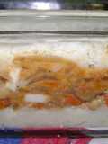 Pastel económico de papas, anco, carne