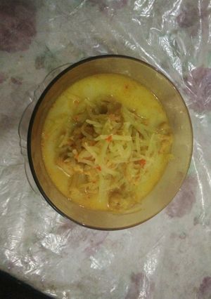Foto resep Sayur Santan Tahu dan Labu Siam