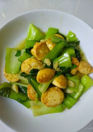 Foto resep Tumis pakcoy tofu